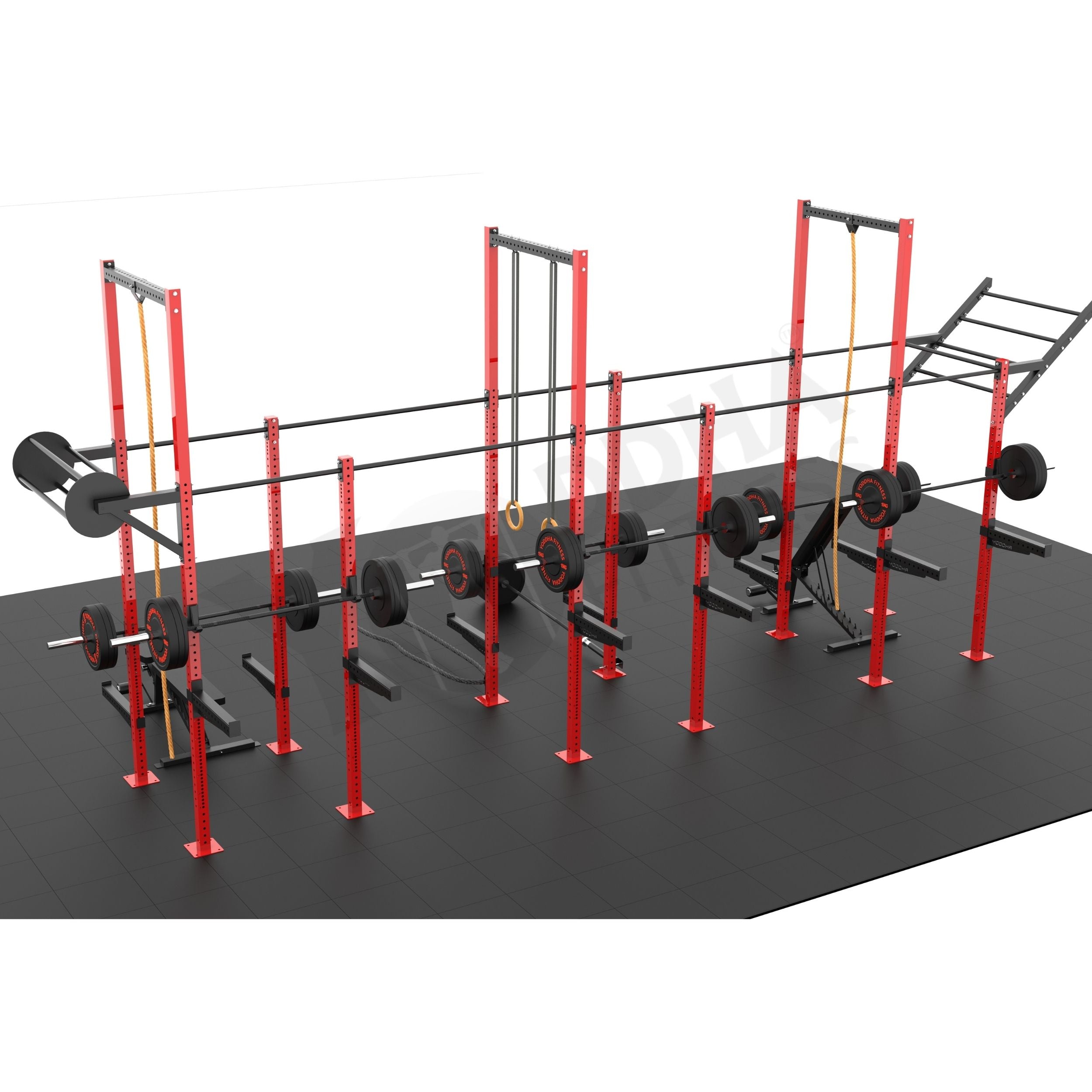 Everest CrossFit Rig - 24 Ft