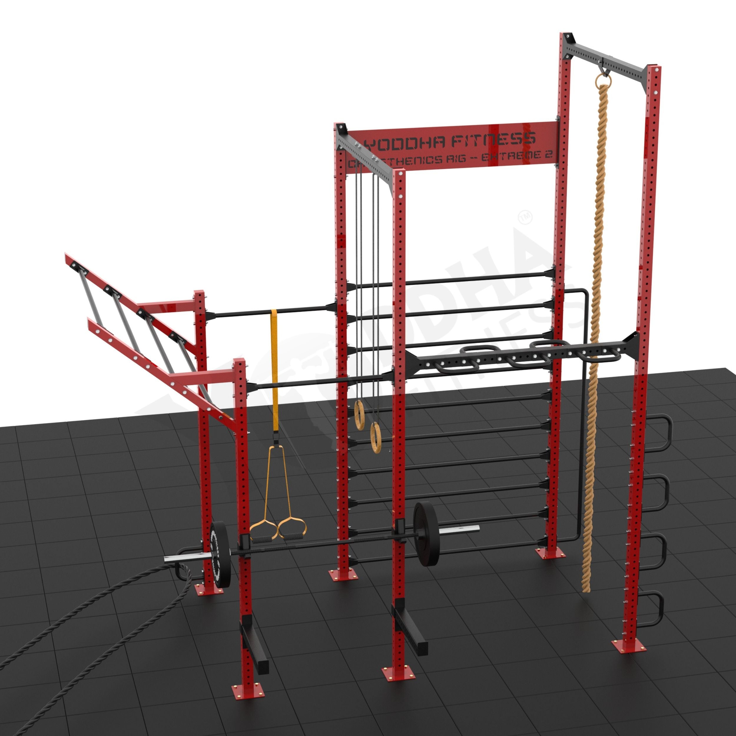 Calisthenics Rig - Extreme 2