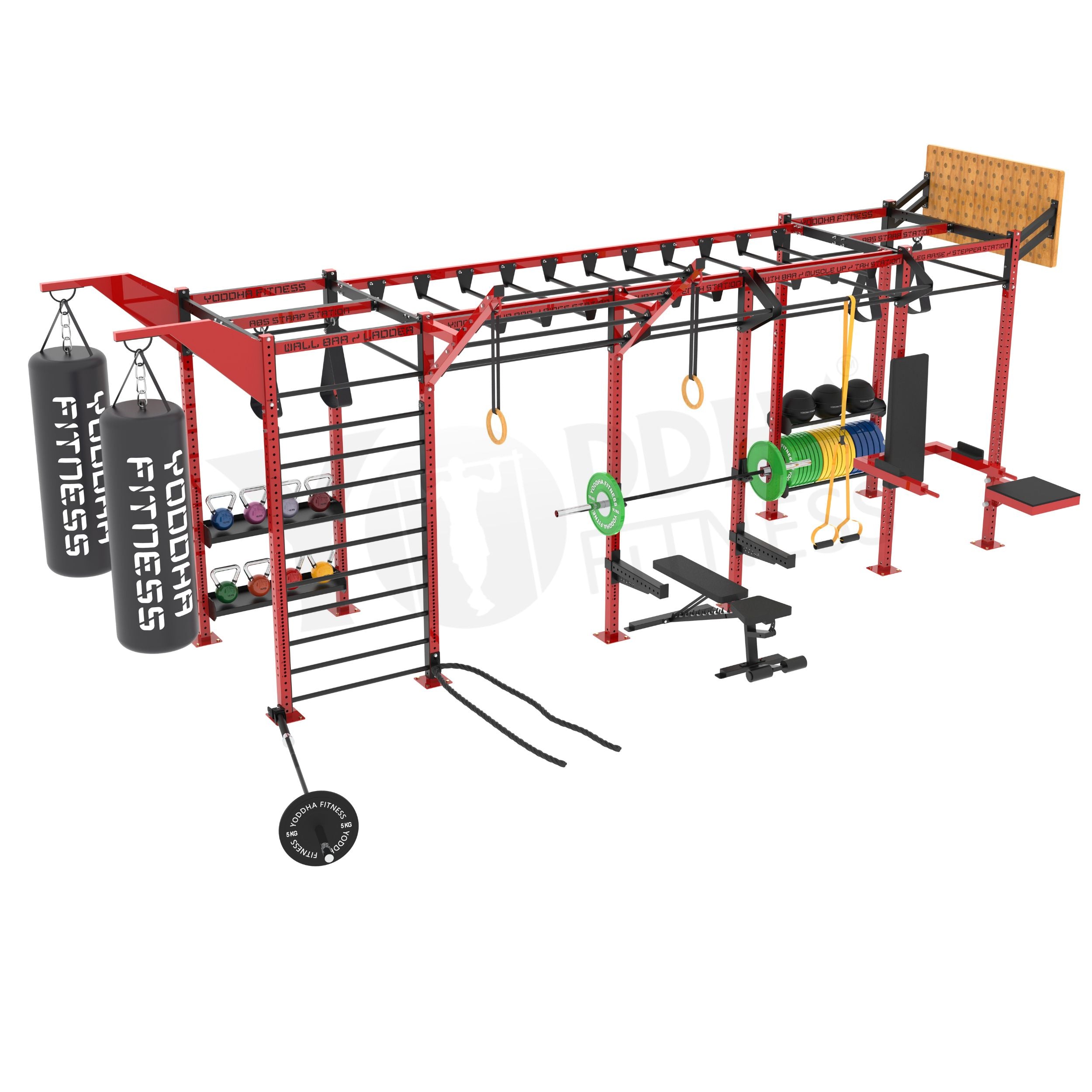 Functional Training Rig