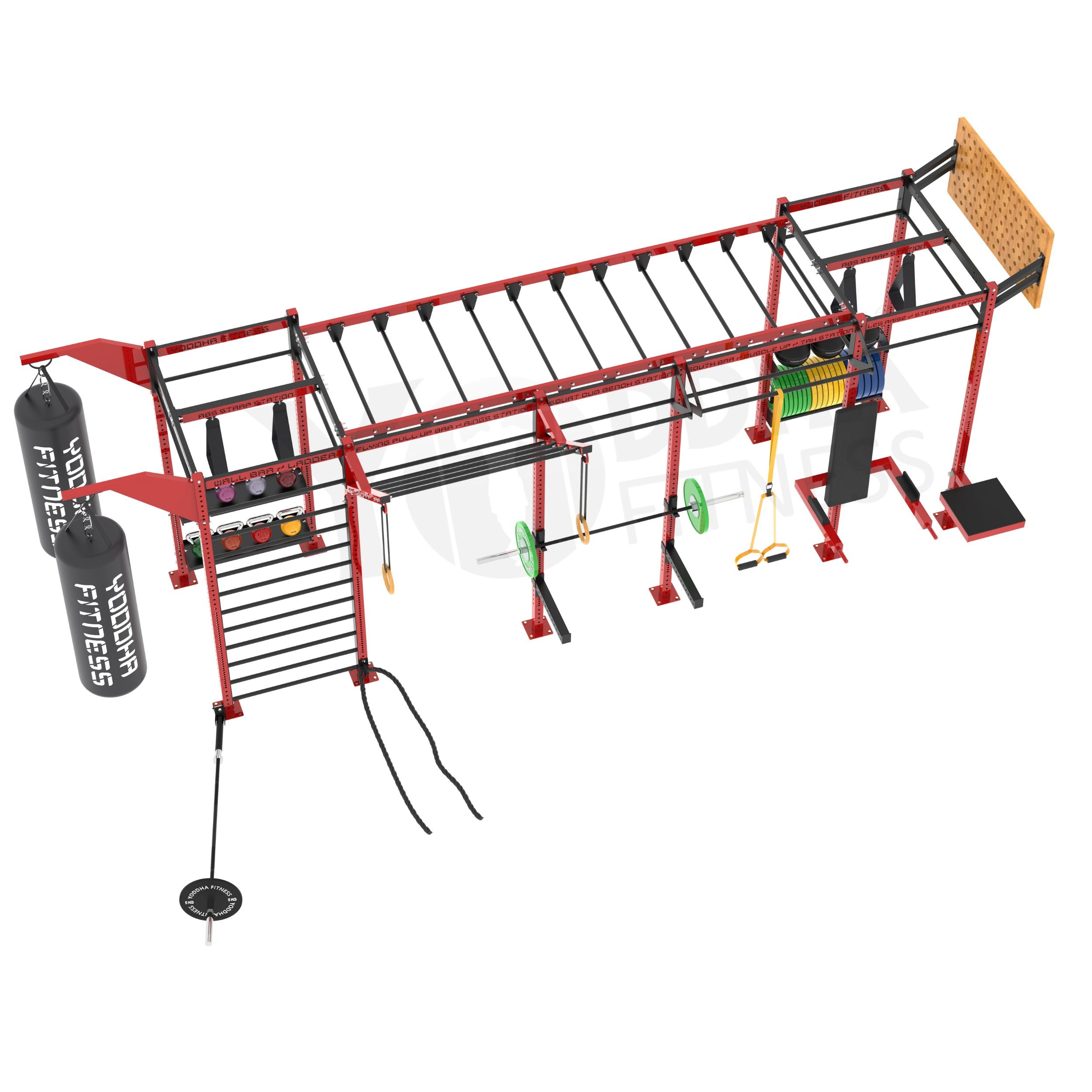 Functional Training Rig