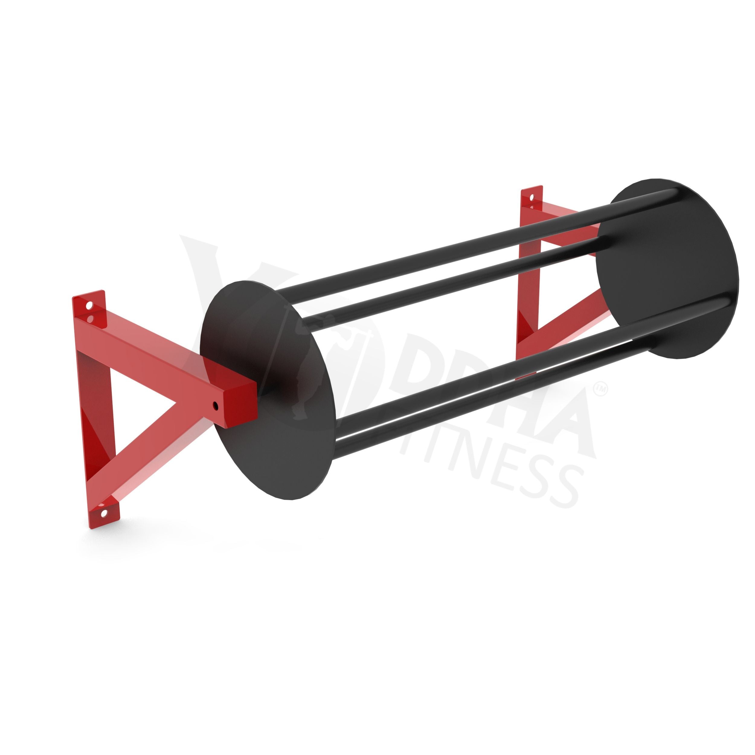 Wall Mounted CrossFit Rig - 24 FT With Storage