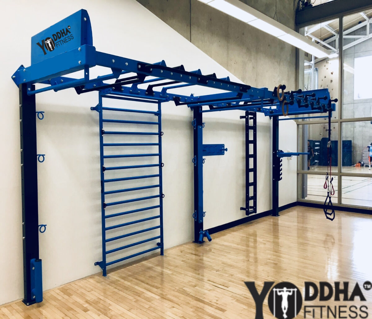 functional training rig, training rig, gym rig, functional training cage, wall mounted rig, monkey bar, ladder gym, gym ladder